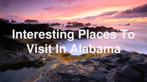 Wonderful Places To Visit In Alabama Having Amazing Attractions