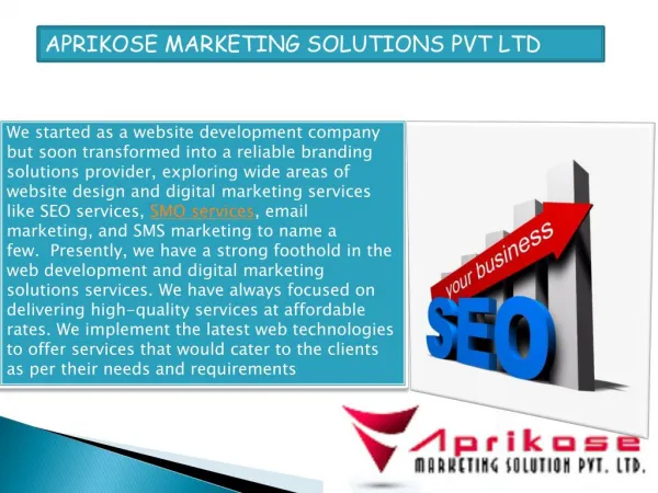 SEO Company in Jaipur