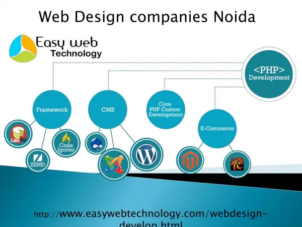 Attention: Web Design Companies’ Noida.