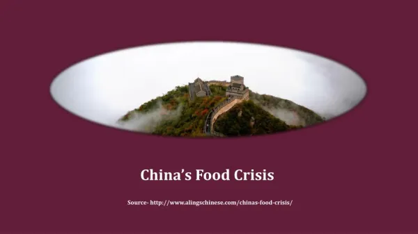 China’s Food Crisis