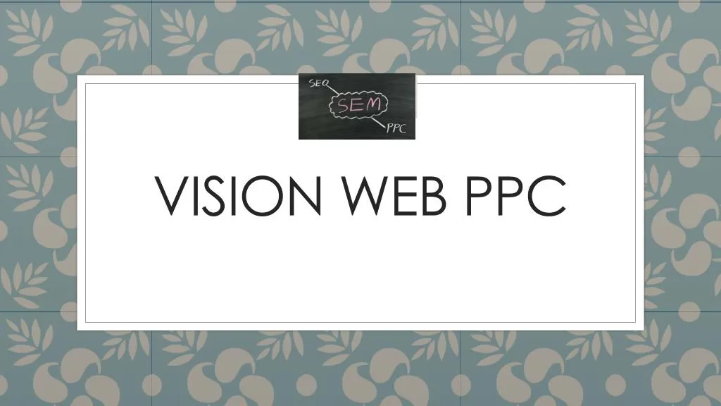 vision web ppc