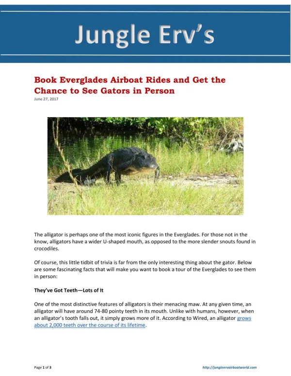 Book Everglades Airboat Rides and Get the Chance to See Gators in Person