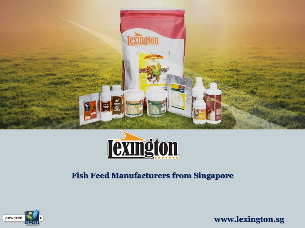 fish feed manufacturers from singapore