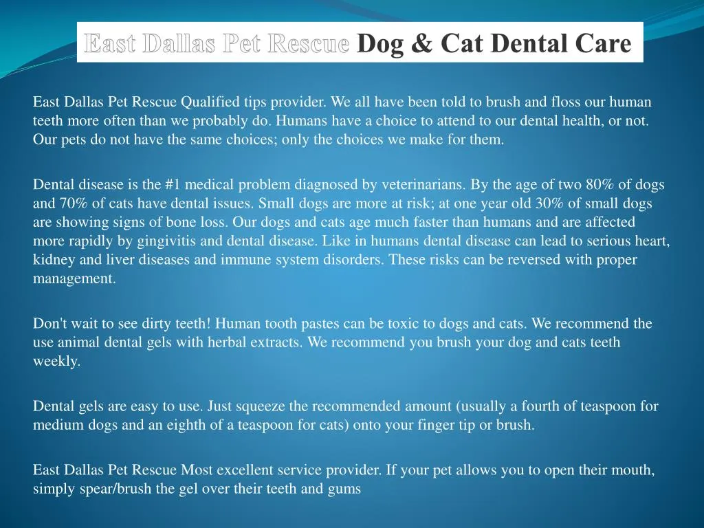 east dallas pet rescue dog cat dental care