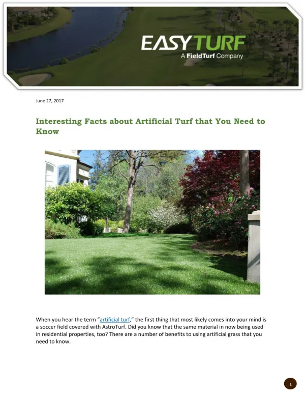 Interesting Facts about Artificial Turf that You Need to Know