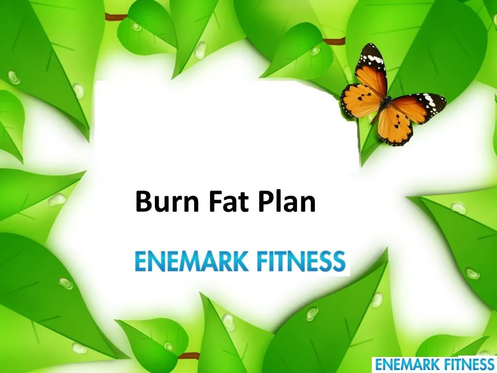 burn fat plan