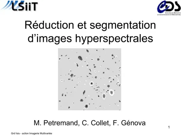 R duction et segmentation d images hyperspectrales