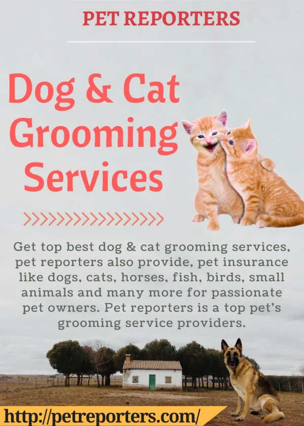 Dog & Cat Grooming Services