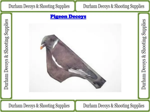 Types of pigeon decoys to choose from