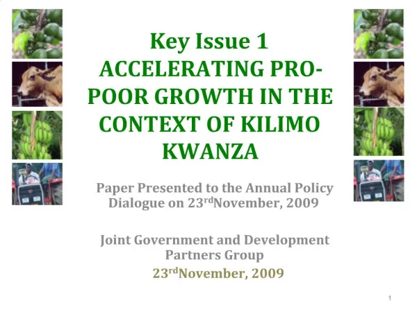 Key Issue 1 ACCELERATING PRO-POOR GROWTH IN THE CONTEXT OF KILIMO KWANZA
