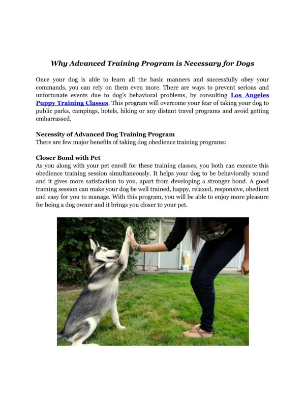 Los Angeles Puppy Training Classes - The Dog Savant