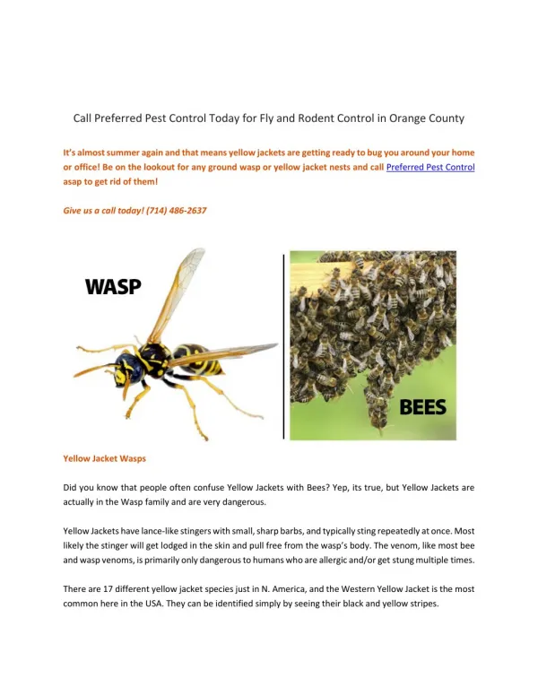 Call Preferred Pest Control Today for Fly and Rodent Control in Orange County