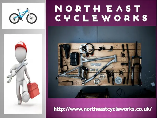 Bicycle repairs newcastle