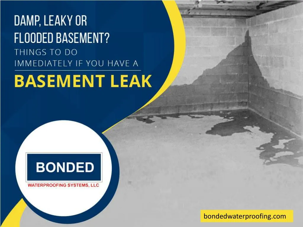 damp leaky or flooded basement things to do immediately if you have a basement leak