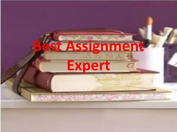 Best assignment Expert