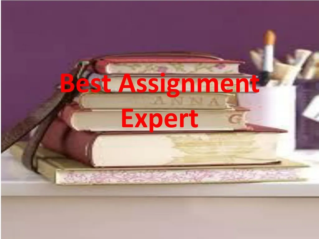 best assignment expert