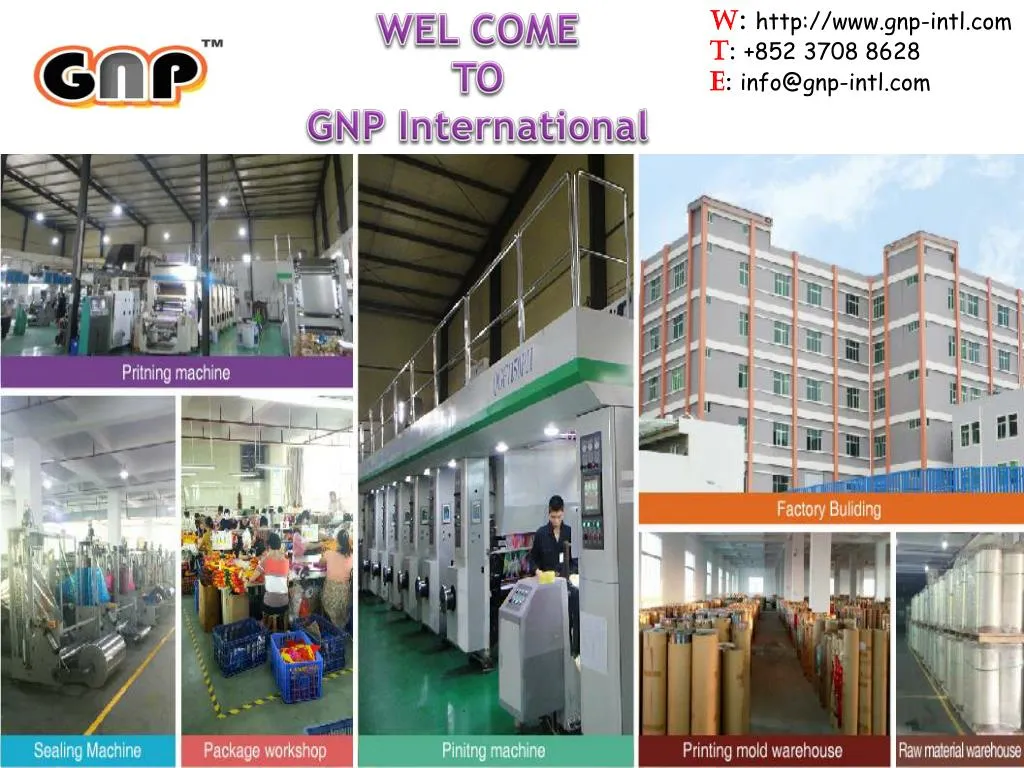 wel come to gnp international