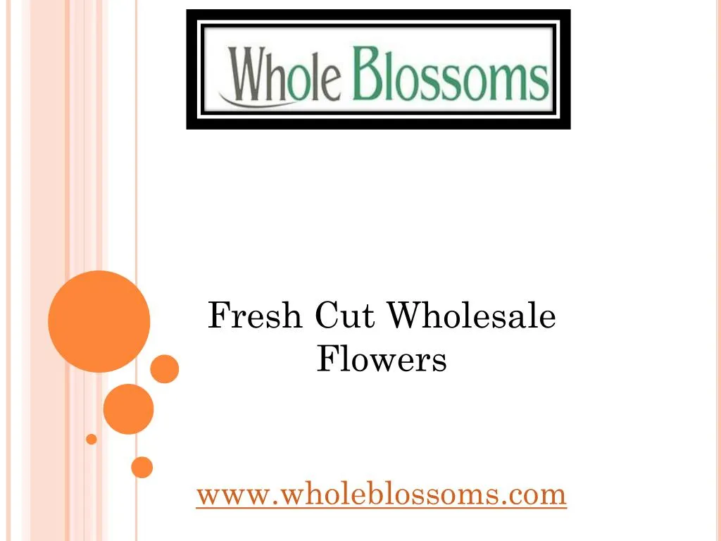 fresh cut wholesale flowers
