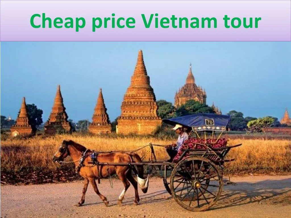 cheap price vietnam tour