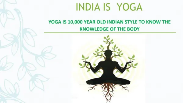 Yoga tours of India