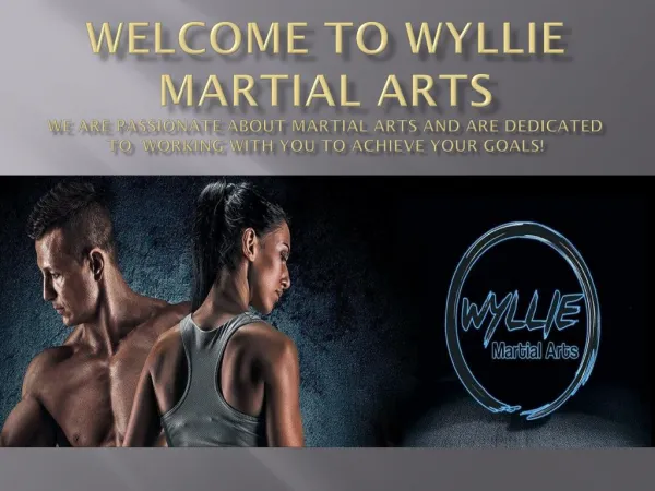 Martial Arts Academy Willoughby | WYLLIE Martial Arts