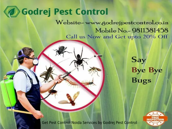 Get Pest Control Noida Services by Godrej Pest Control