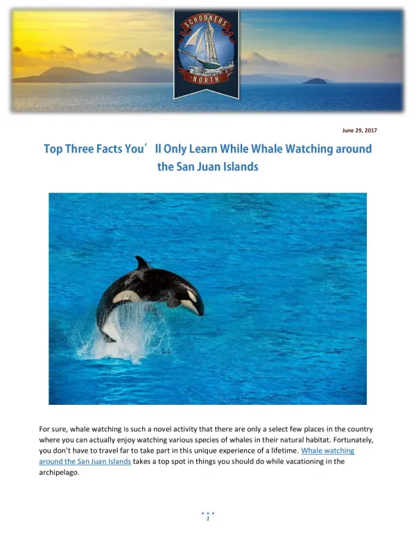 Top Three Facts You’ll Only Learn While Whale Watching around the San Juan Islands