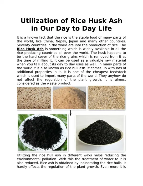 Utilization of Rice Husk Ash in Our Day to Day Life