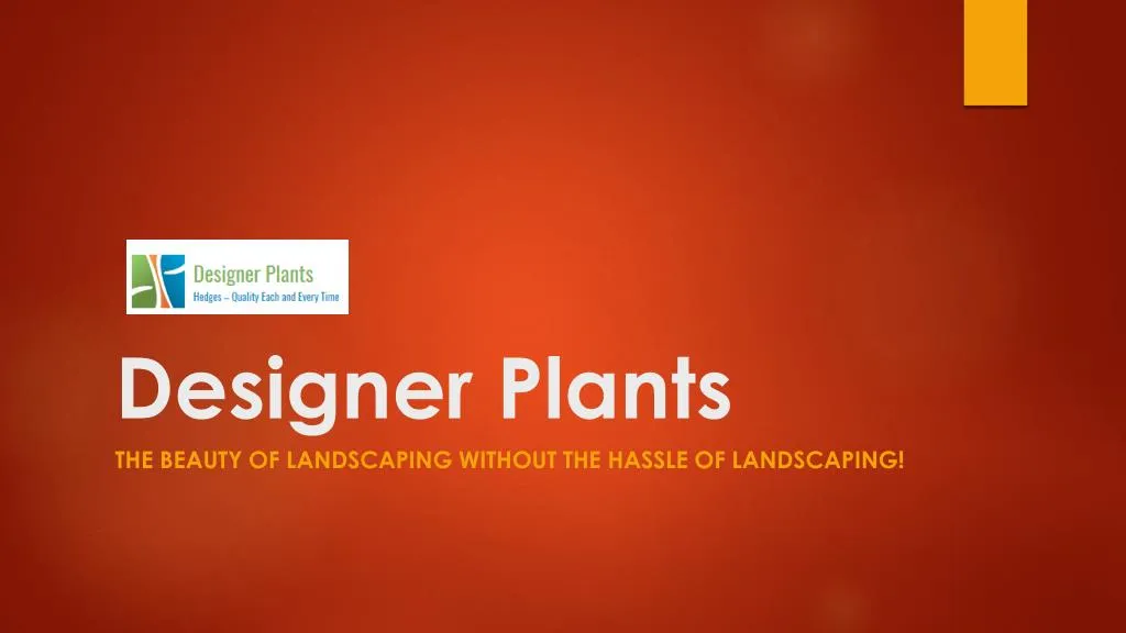 designer plants