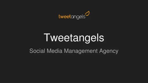 Tweetangels - Social Media Management Agency