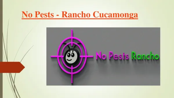 No Pests & Rancho Cucamonga