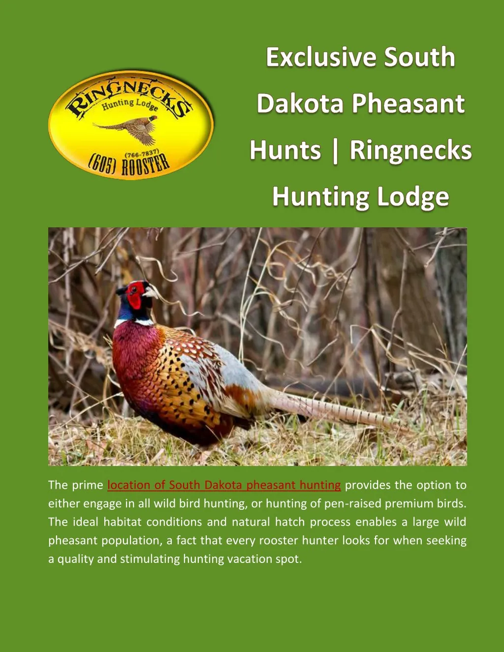 the prime location of south dakota pheasant