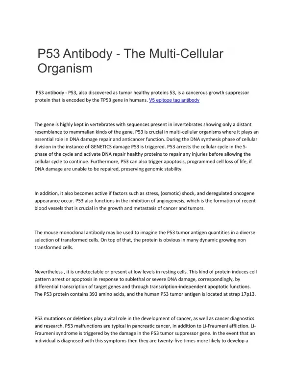 P53 Antibody - The Multi-Cellular Organism
