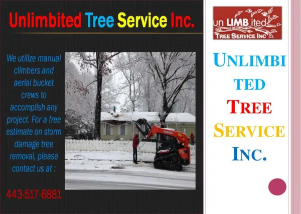 unlimbited tree service inc