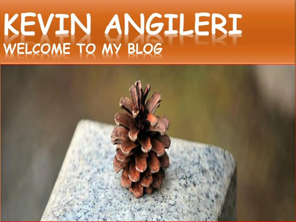 kevin angileri welcome to my blog