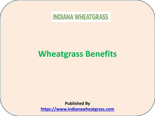 Wheatgrass Benefits