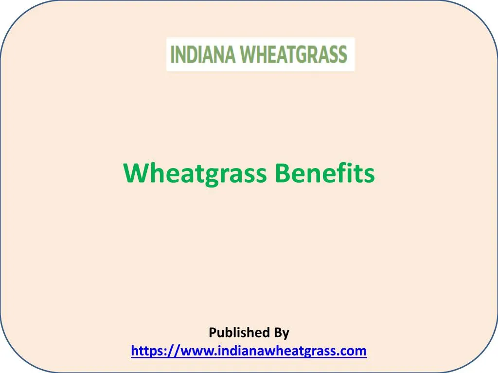wheatgrass benefits published by https www indianawheatgrass com