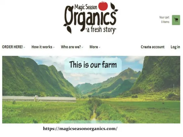 Hong Kong Organic Farm