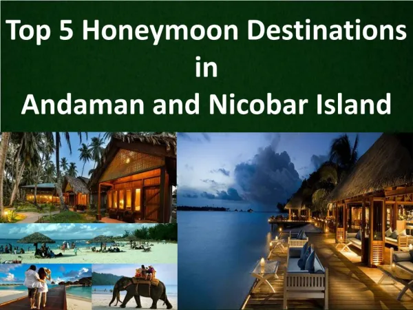 Top 5 Honeymoon Destinations in Andaman and Nicobar Island