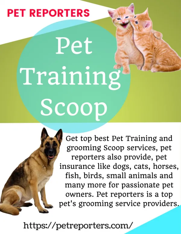 Pet Training Scoop