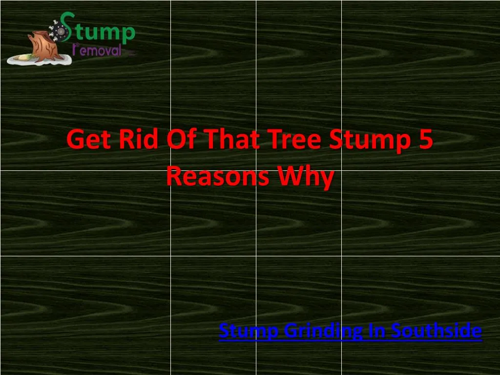 get rid of that tree stump 5 reasons why