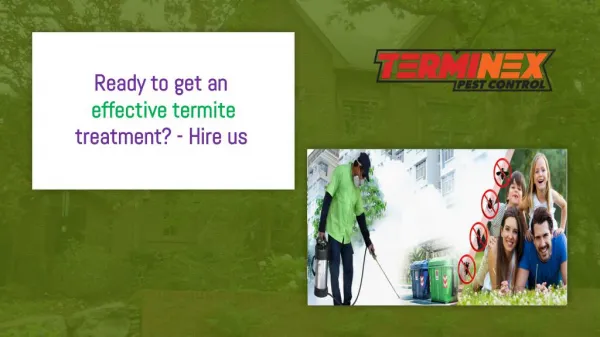 Ready to get an effective termite treatment? - Hire us