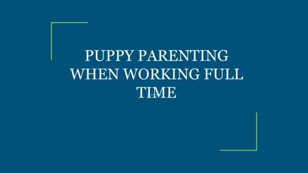 PUPPY PARENTING WHEN WORKING FULL TIME