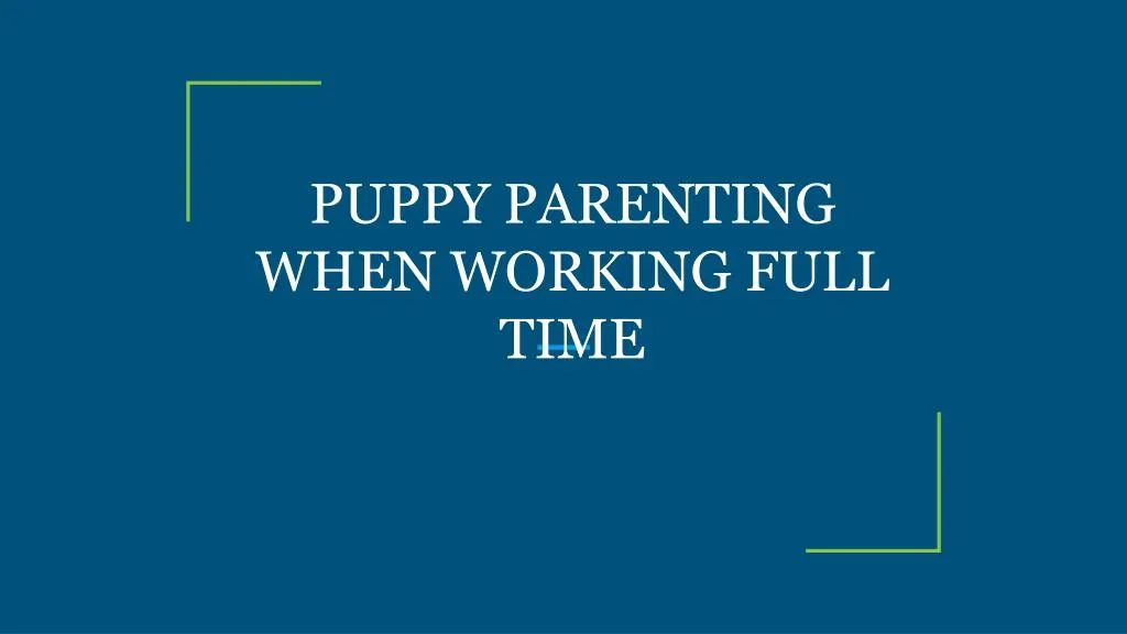 puppy parenting when working full time
