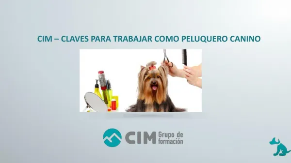 CIM – CLAVES PARA TRABAJAR COMO PELUQUERO CANINO