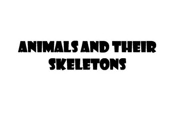Animals and Their Skeletons