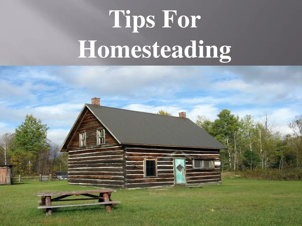 tips for homesteading