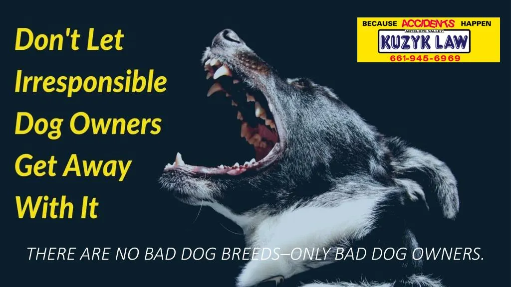 there are no bad dog breeds only bad dog owners