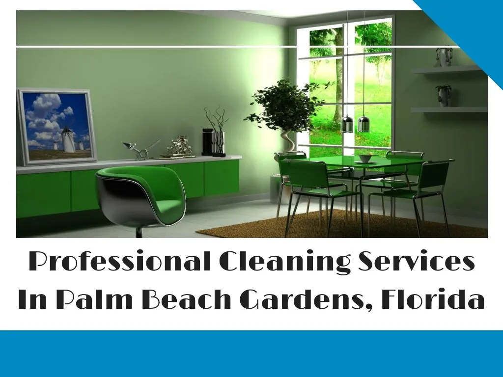 professional cleaning services in palm beach