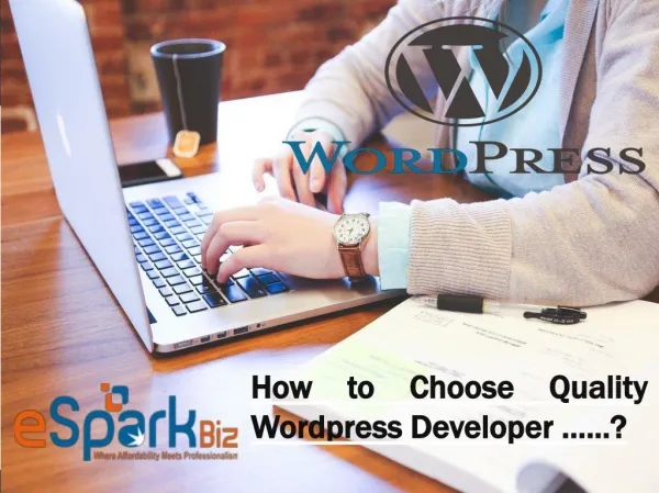 Wordpress Development Company USA | Wordpress Website Development Services